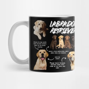 Labrador Retriever Fun Facts Mug